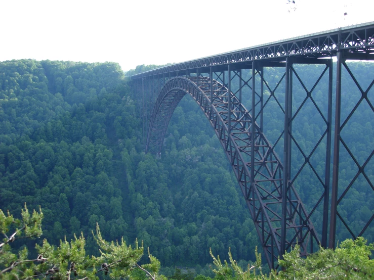 the bridge is high above a lush green valley