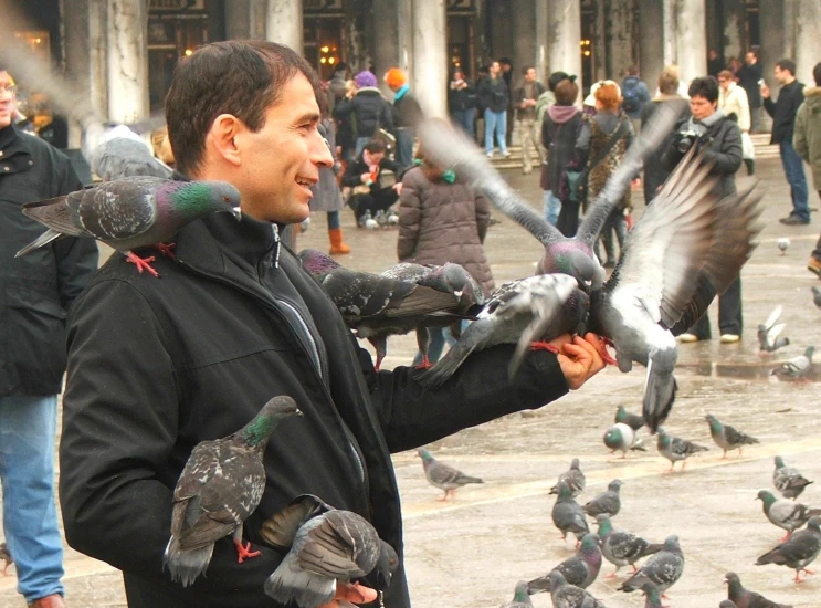 a man holding some pigeons with it's hands