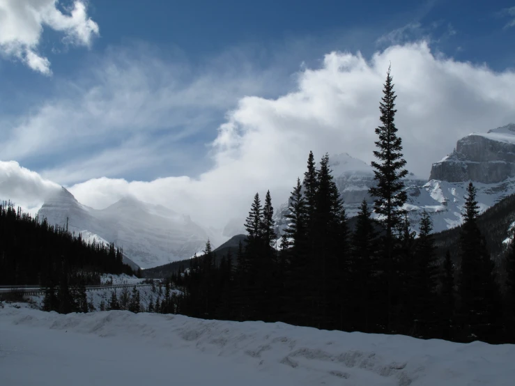 a snow covered hillside with some trees in the foreground