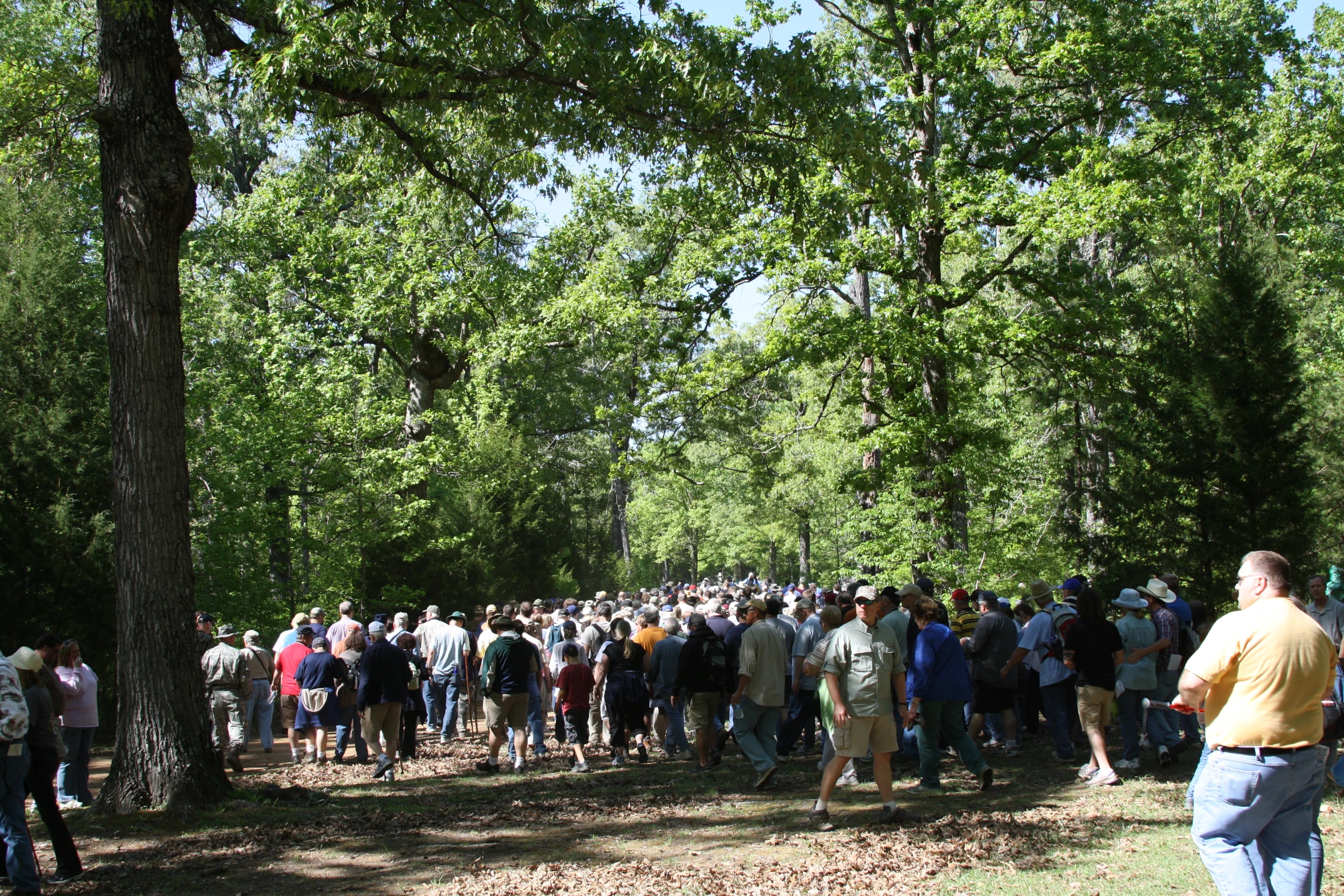 a crowd of people standing around in a forest