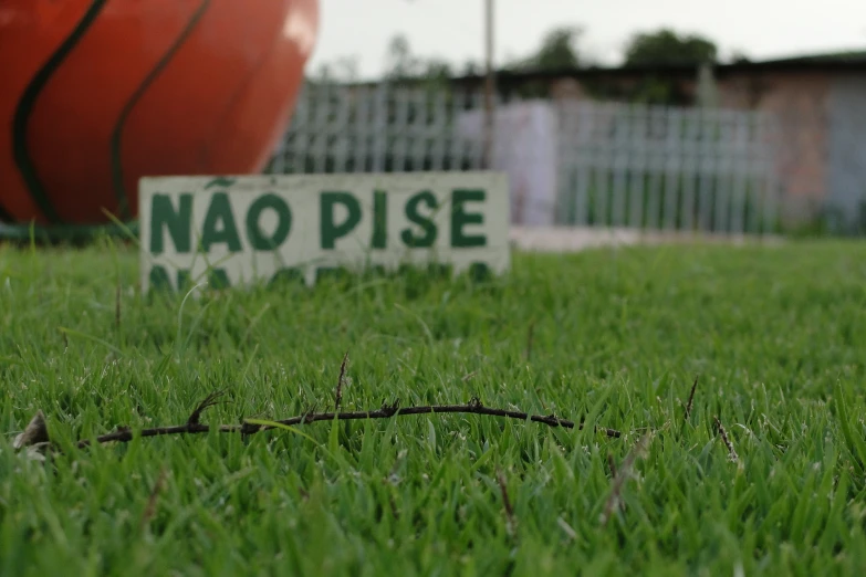 two street signs sitting on top of green grass