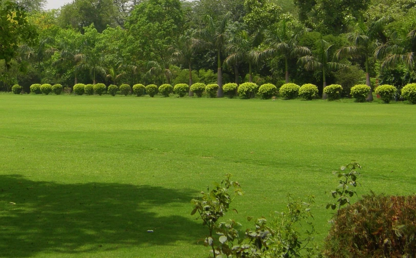 there is a bench on the grass alone