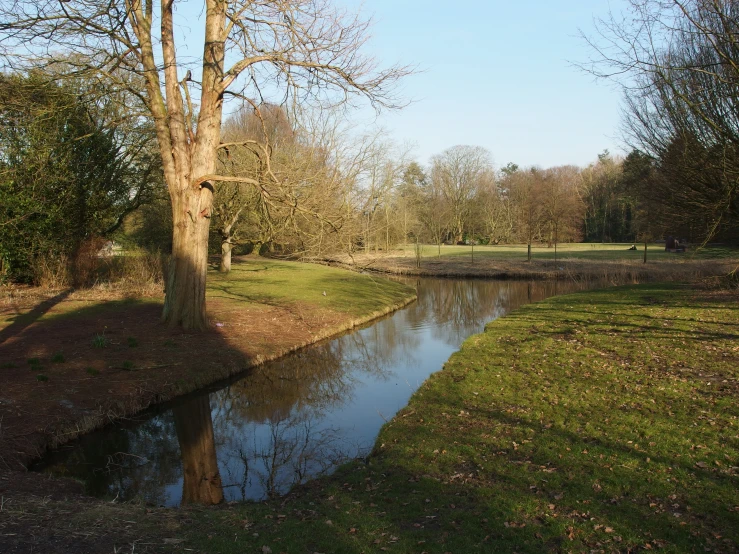 a small river is running through a grassy field