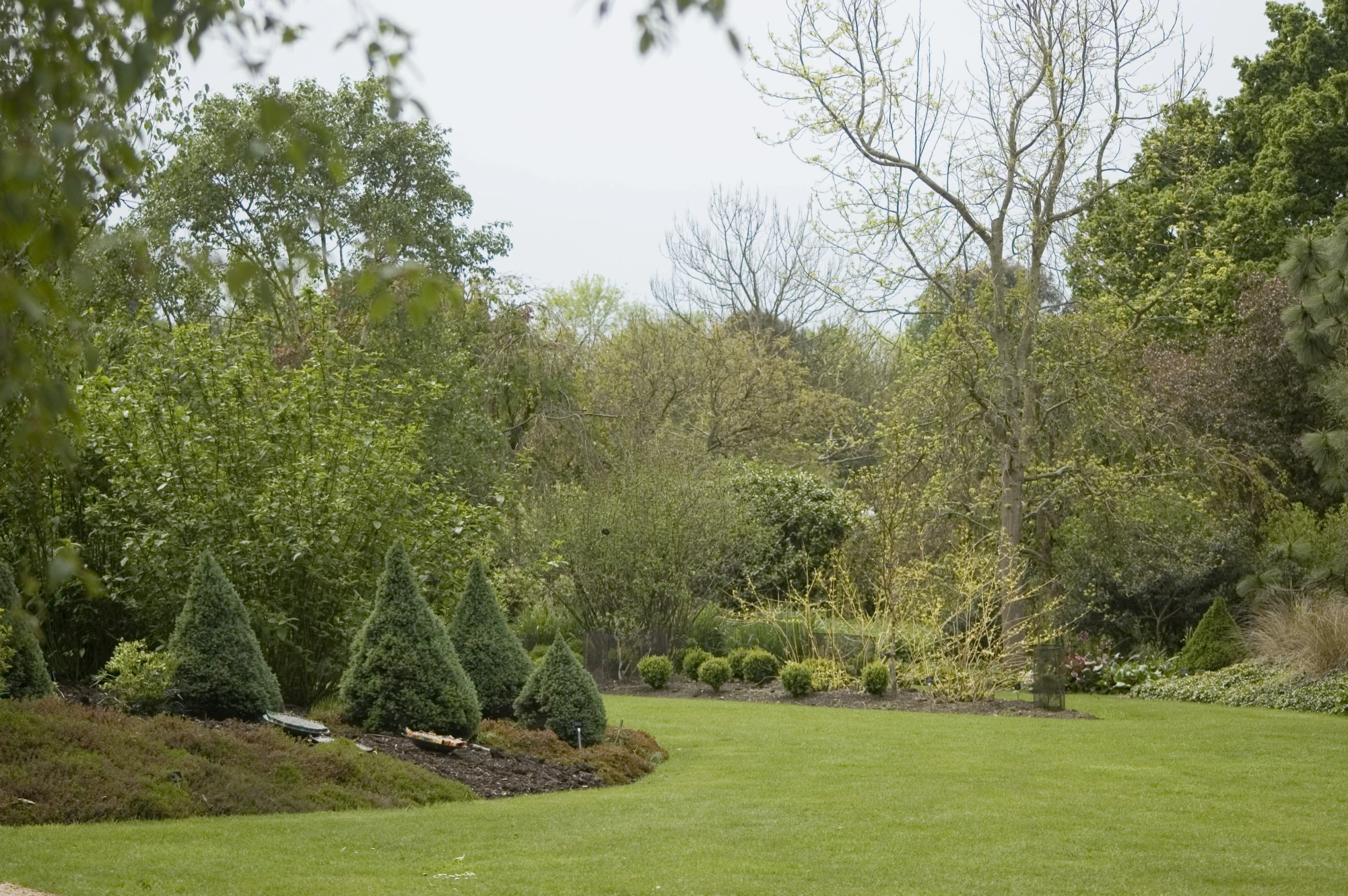 a very lush green park filled with lots of trees