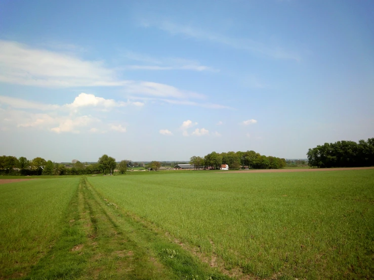 a lush green field under a blue sky with clouds