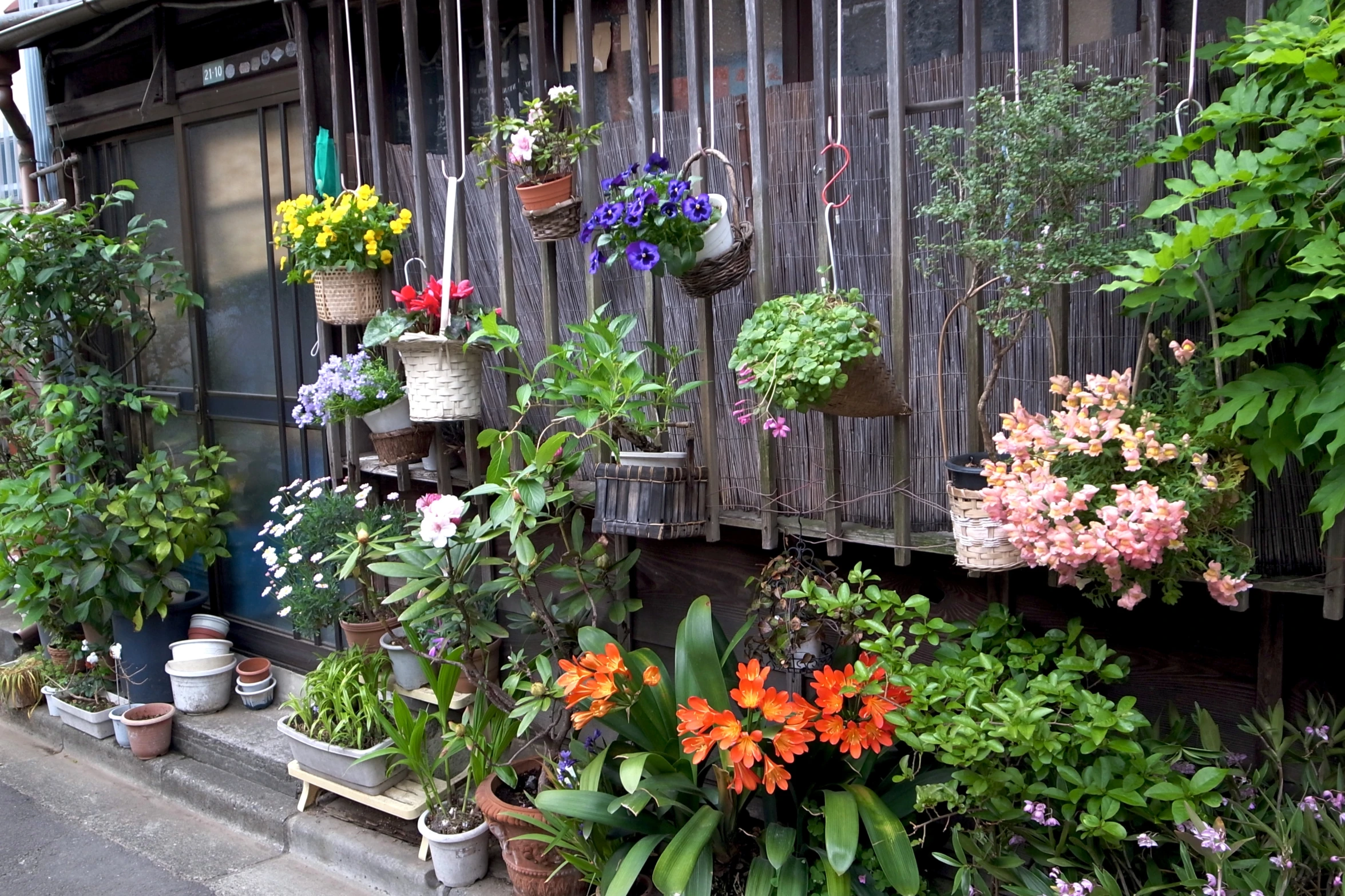 a collection of flowers and plants on display in front of an old building