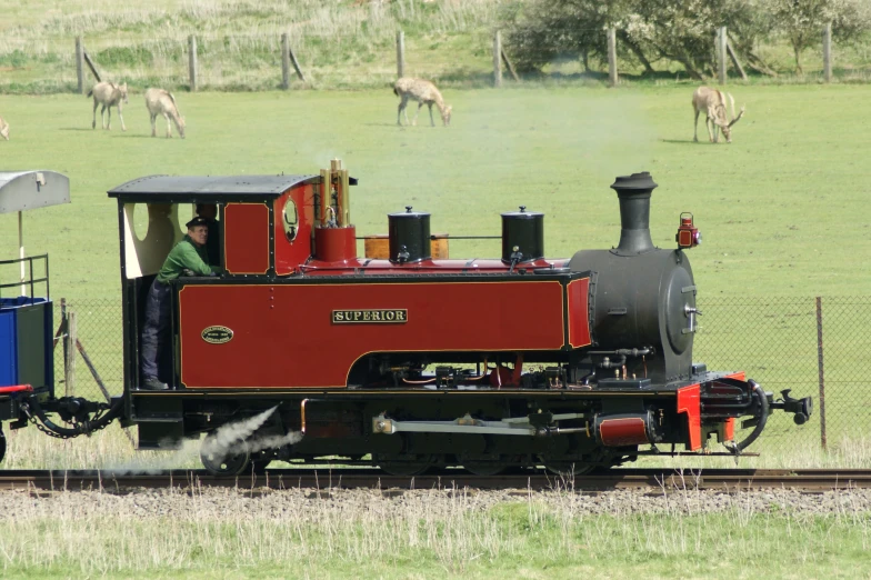 the train is going through the field with a group of wild animals