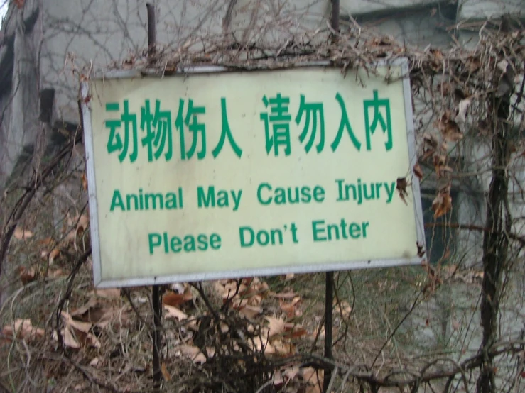 this is an animal may cause injury please don't enter sign