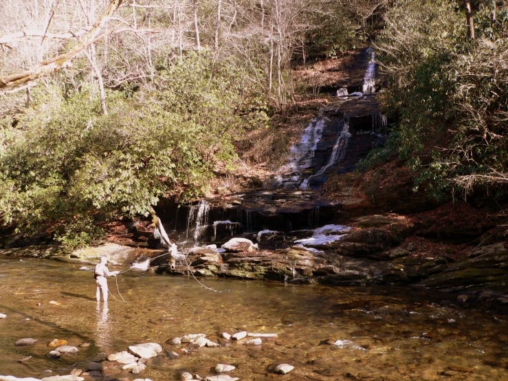 a stream runs by a small waterfall surrounded by green foliage