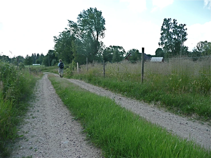 man riding a bike on a path surrounded by tall grass