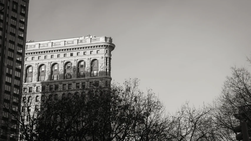 trees growing in front of a tall building