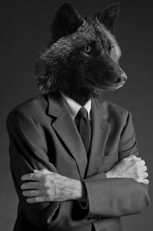 a large animal wearing a suit and tie