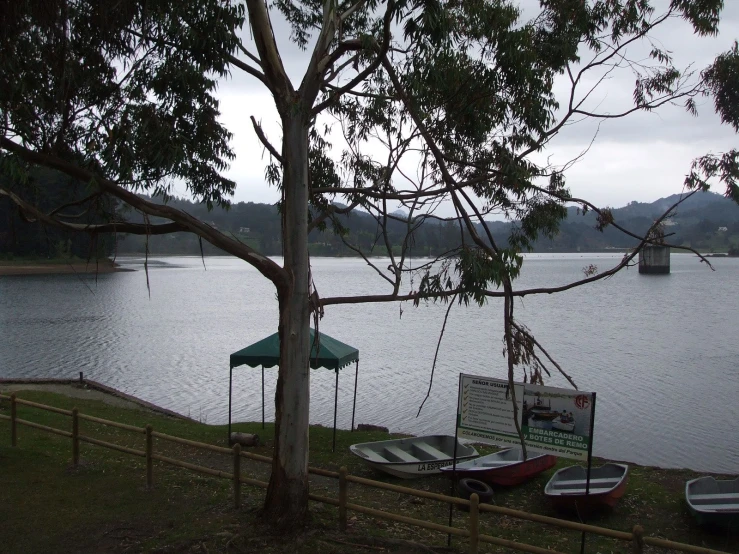 two boats tied to the side of a lake with a dock