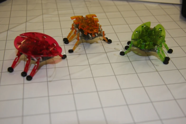 the four plastic toy insects are on the floor