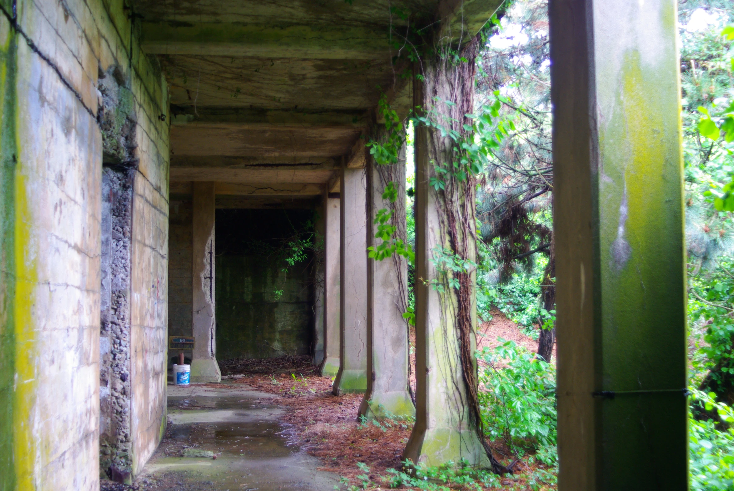 the inside of a structure in some woods