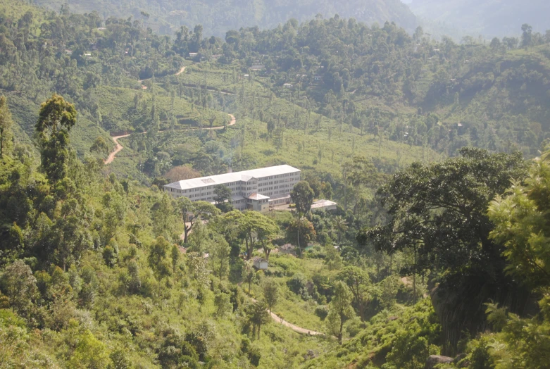 the el is perched on the hilltop with lush green trees