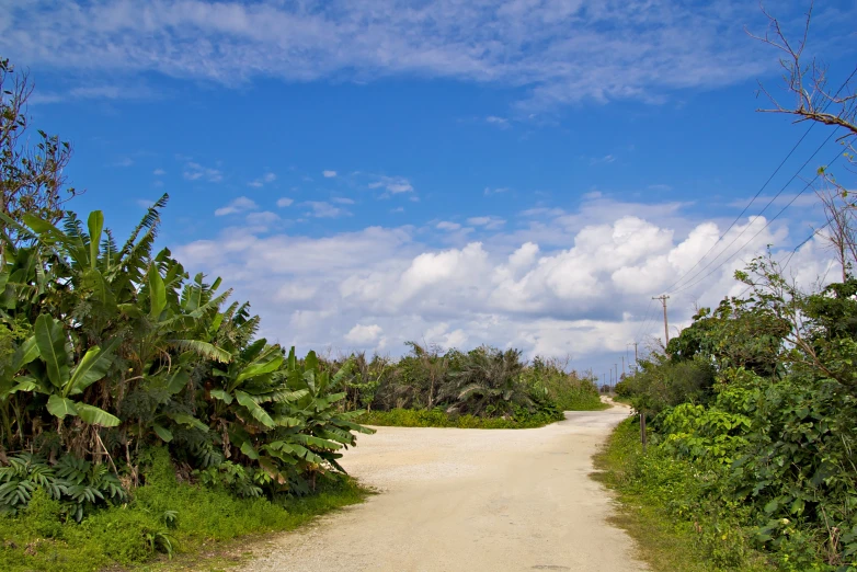 the road is deserted from all the cars driving down it