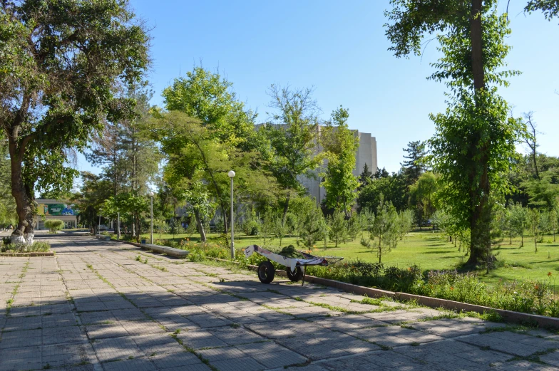 a road with a park scene and a tree - lined field