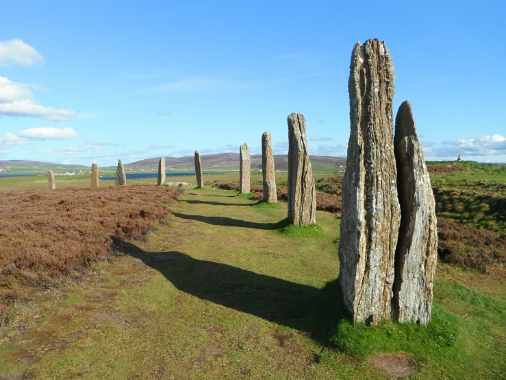 a group of ancient stones are on a grassy field