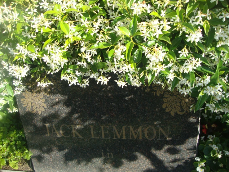 a memorial in a grassy park surrounded by trees