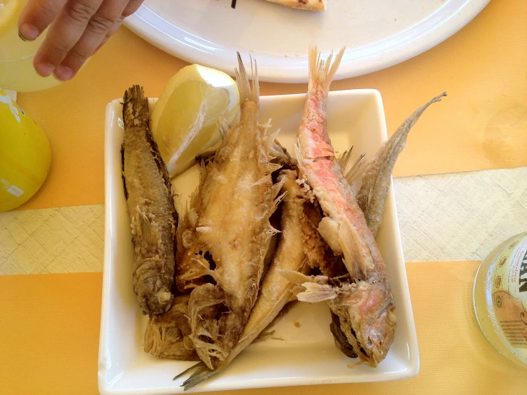 a plate of fish is pictured with a slice of lemon