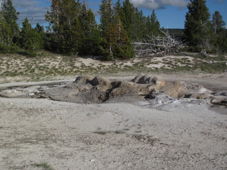 a dirt and rock bed with trees in the background