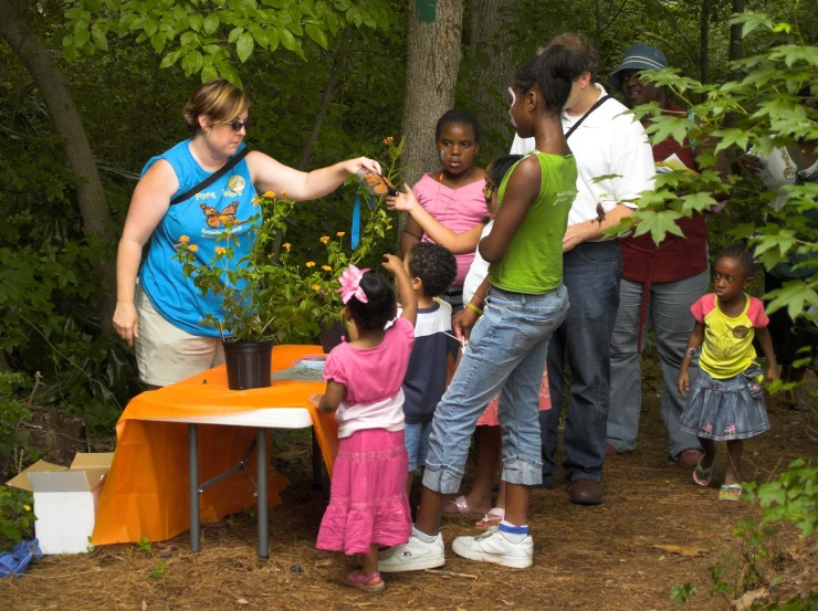 a group of children are looking at plants in the ground