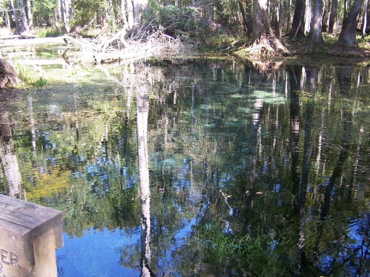an image of a pond that has water reflections on it