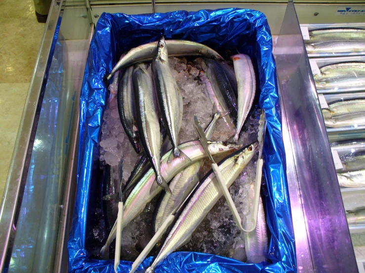 fish on display at a grocery store inside an ice tray