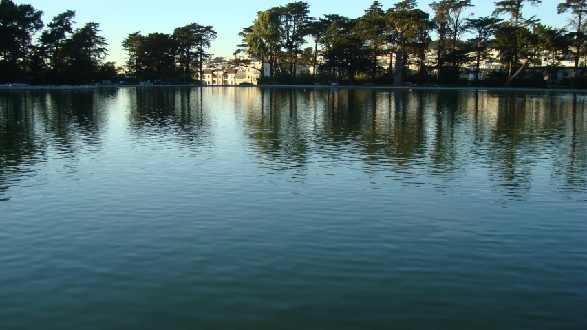 the calm body of water has several houses on it