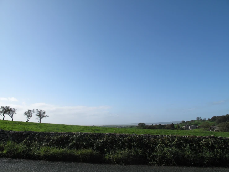 two trees on top of a lush green hillside