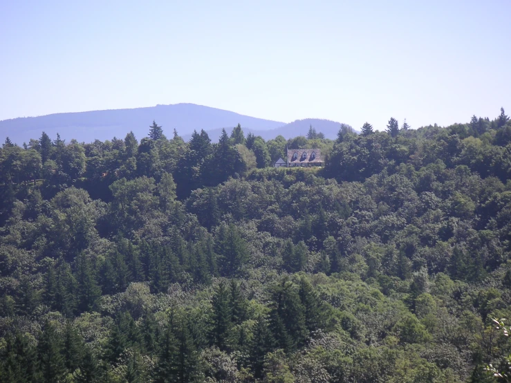 a large wooded mountain range with a cabin in the trees