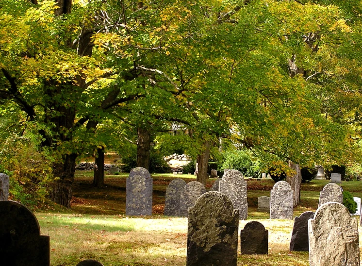 there are many headstones that are in this cemetery