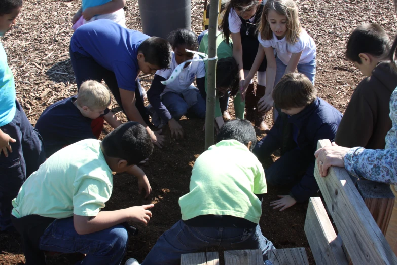 children playing in a park area with people working