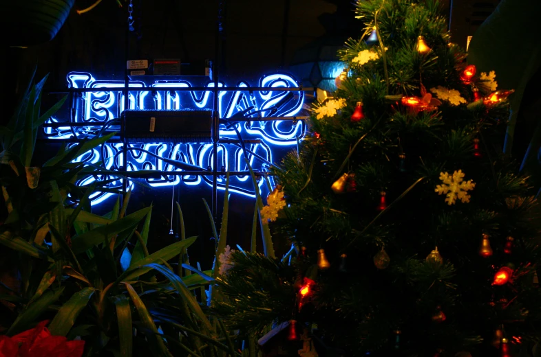 a small tree with a very colorful neon sign behind it