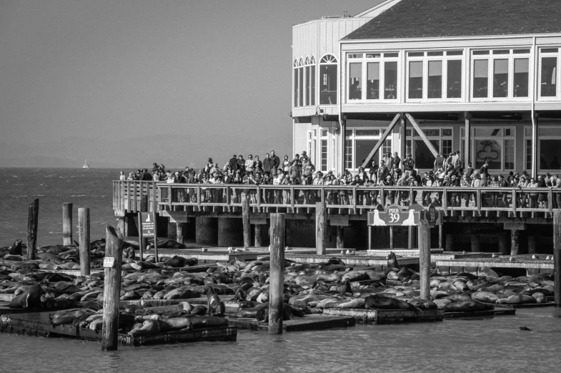 a crowd of people sitting on the dock next to the ocean