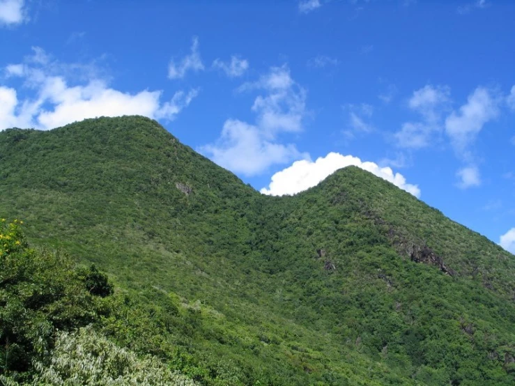 a lush green hillside under a partly cloudy blue sky