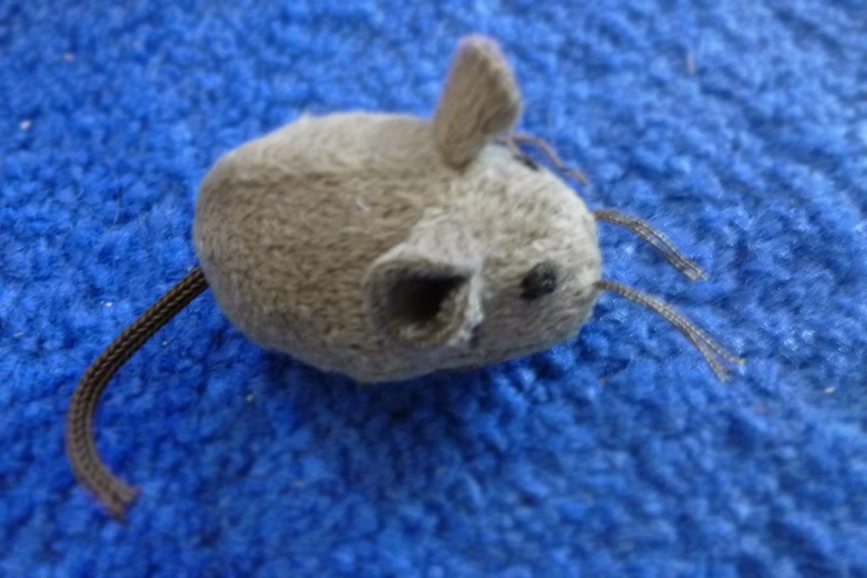 a stuffed toy mouse sitting on top of a blue surface