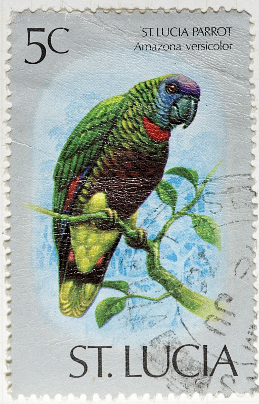 a postage stamp depicting a bird with bright colors