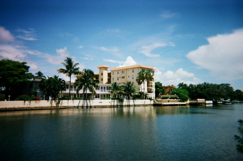 palm trees line the shoreline of a lake