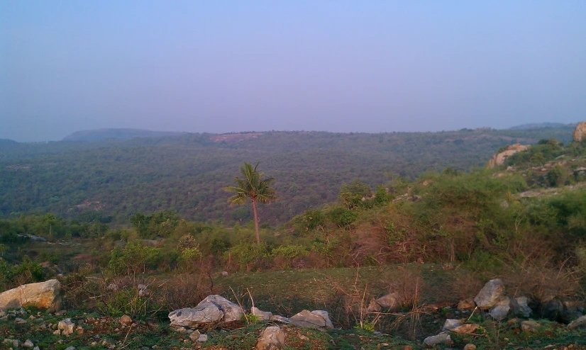 a hill side with green trees on it with a rock outcropping and hills in the background