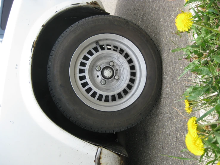 the wheel on a white car is next to some daisies