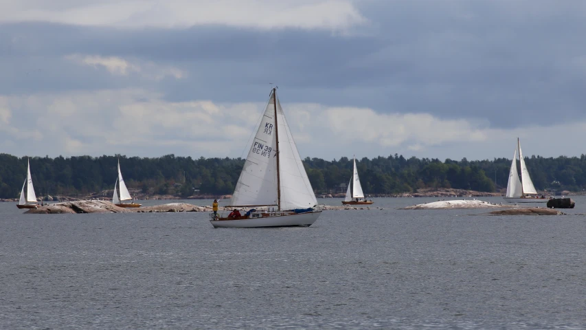 sailboats with white sails on water next to wooded area