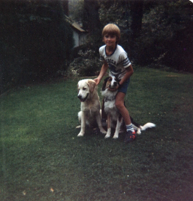 the child is holding two small dogs in his hand