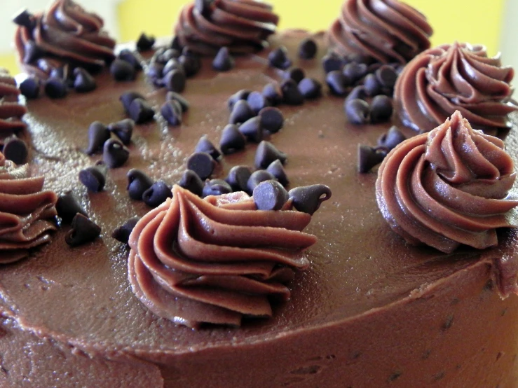 a chocolate cake with chocolate frosting with small chocolate decorations on it