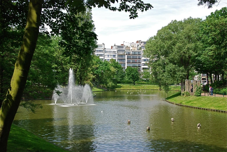 a pond surrounded by trees with birds flying around it