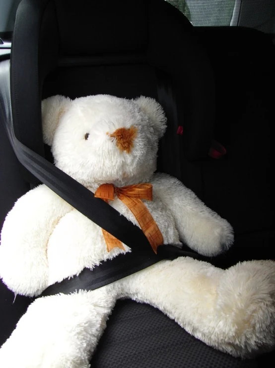 the white teddy bear is in a car seat