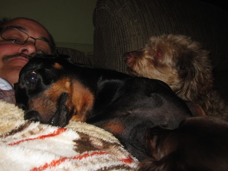 a man sleeping on a couch with his dog