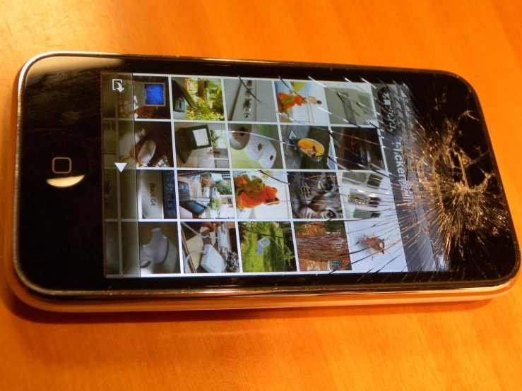 a cell phone with pictures of plants taken out of them