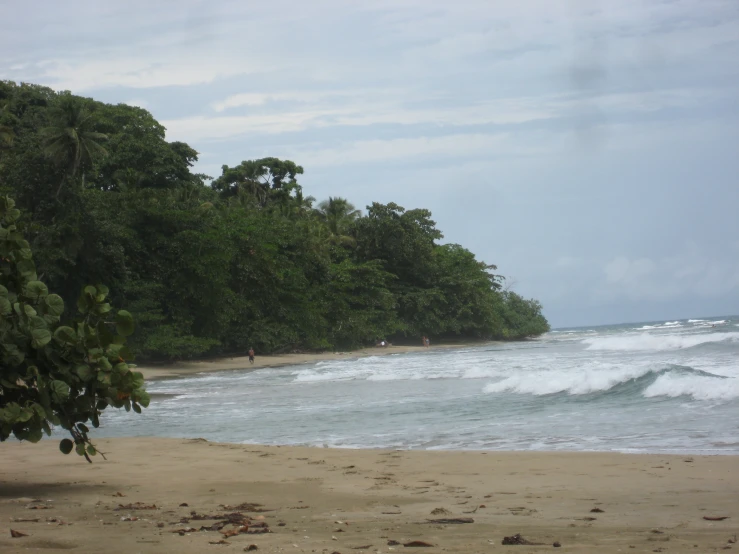 a beach area with a person standing on the sand